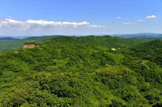 1669623430893.png 1669623430893.png