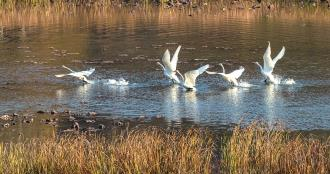 1674962833703.png 1674962833703.png