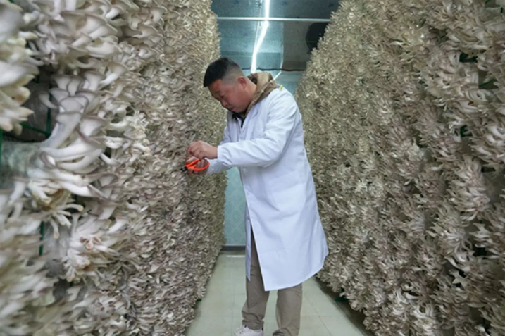 1734924816852.png 1734924816852.png